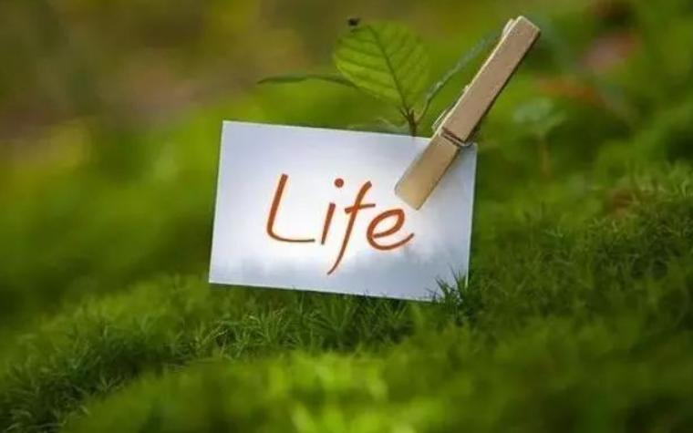 贩毒判几年，父亲贩毒但我过了政审了