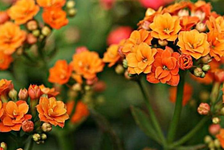 港澳通行证办理，初次办港澳通行证流程